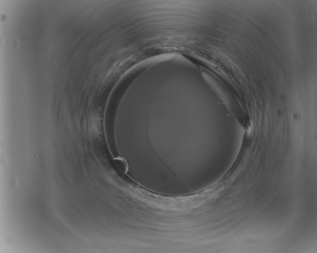 X0000075840035200609221716