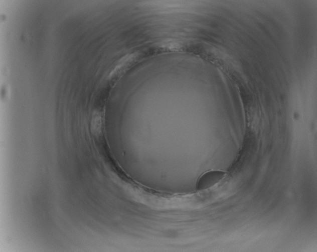 X0000075840036200609221716