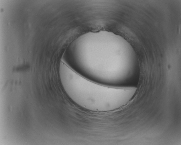 X0000075840037200609221716