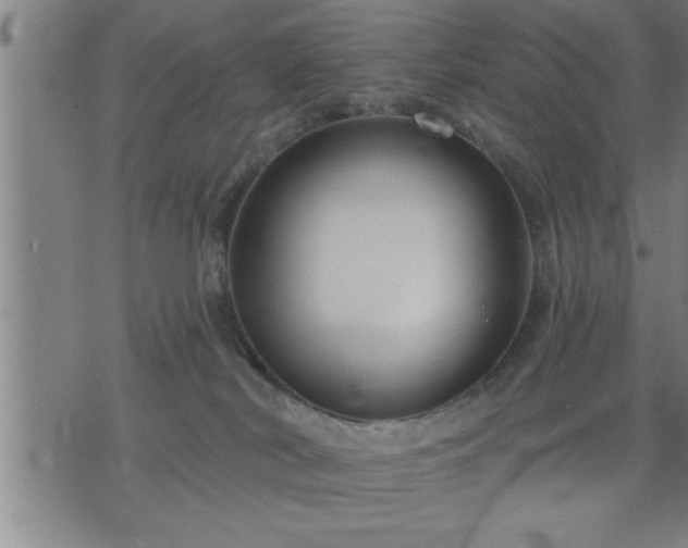 X0000075840038200609221716