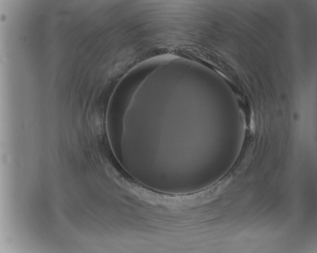 X0000075840039200609221716