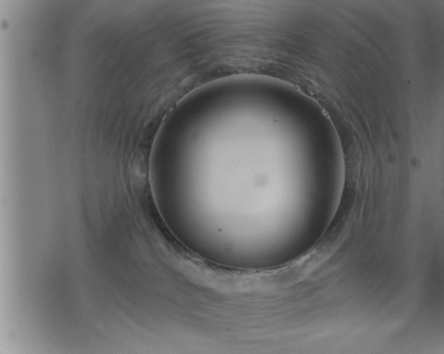 X0000075840040200609221716