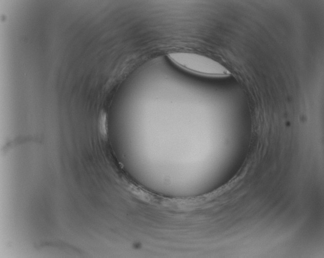 X0000075840041200609221716