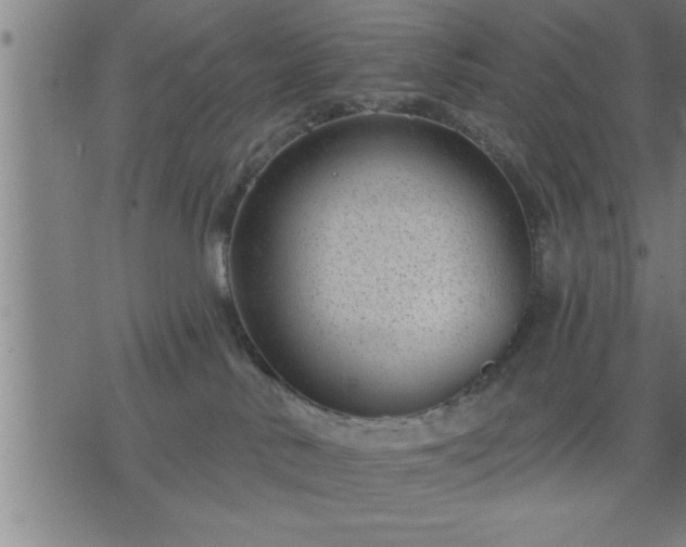 X0000075840042200609221716