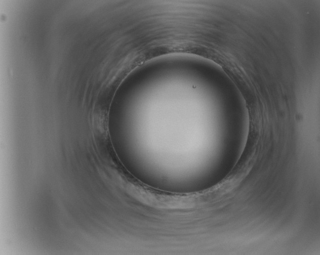 X0000075840044200609221716