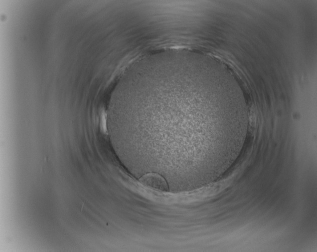 X0000075840046200609221716