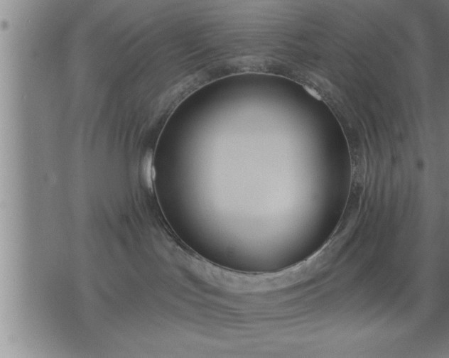 X0000075840047200609221716