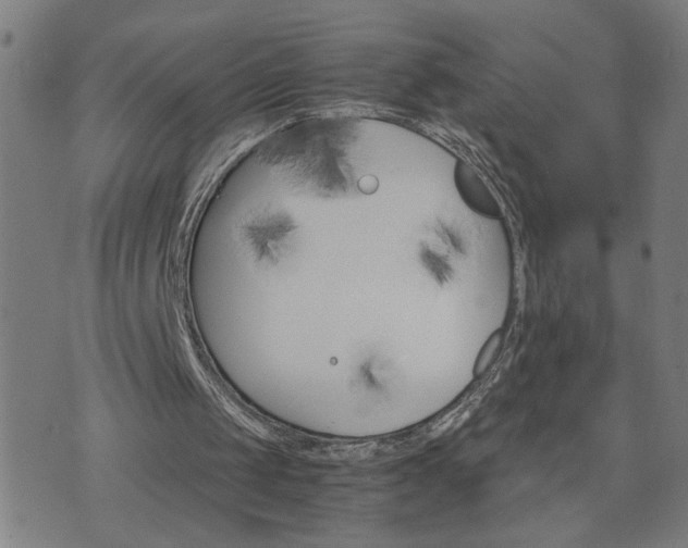 X0000075840049200609221715