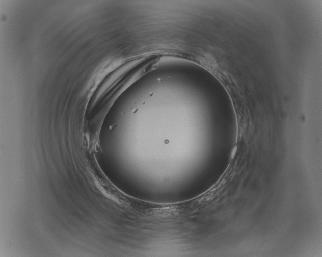 X0000075840050200609221715