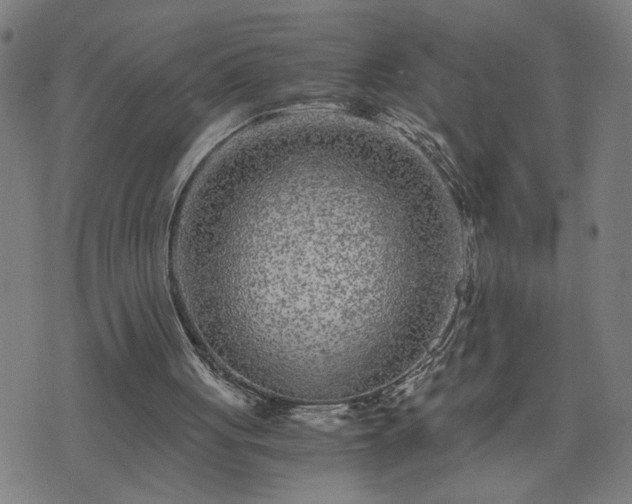 X0000075840051200609221715