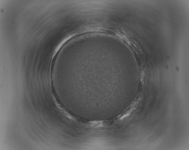 X0000075840052200609221715