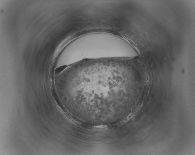 X0000075840053200609221715