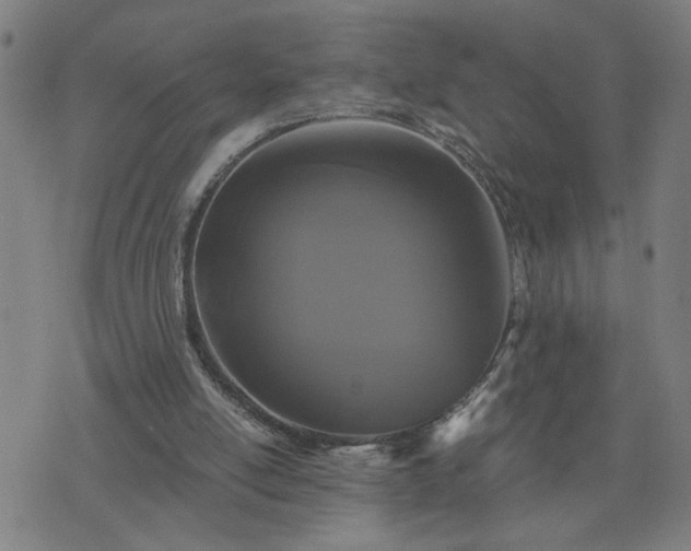 X0000075840054200609221715