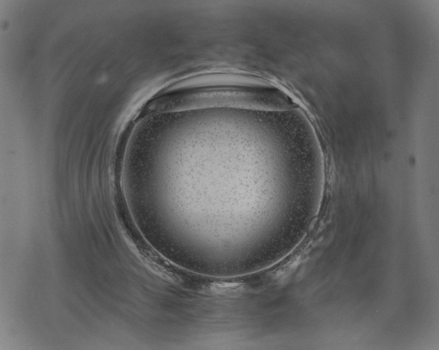 X0000075840055200609221715