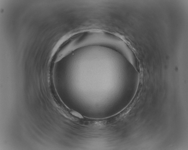 X0000075840056200609221715