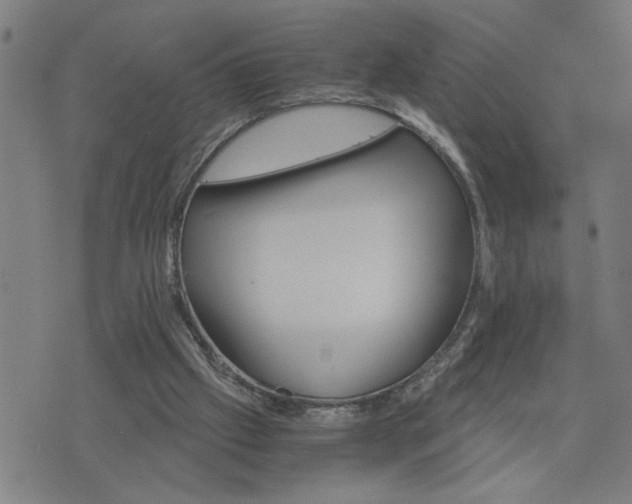 X0000075840057200609221715