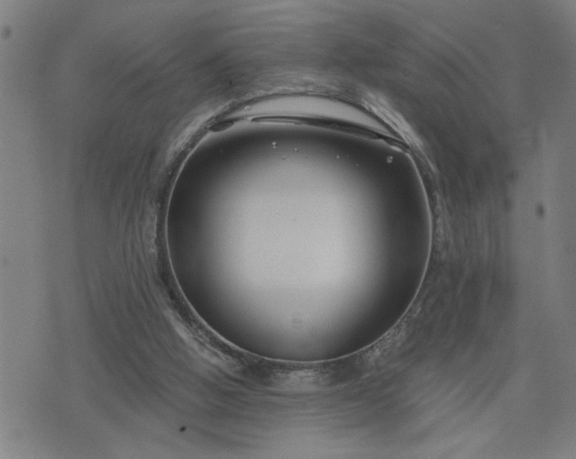 X0000075840058200609221715