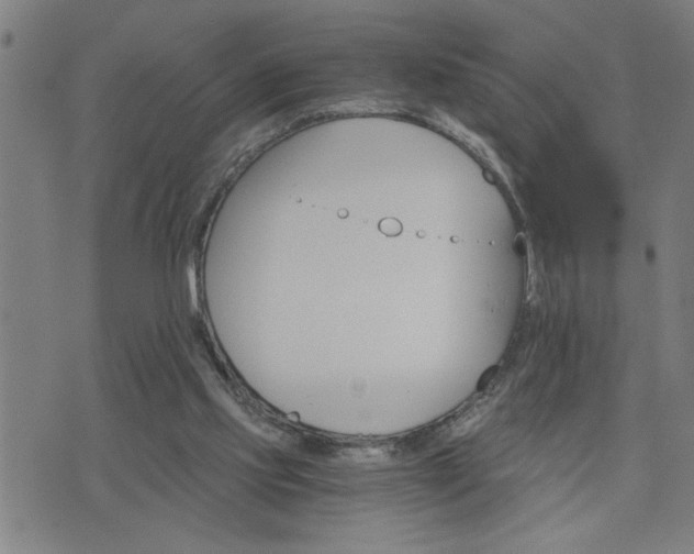 X0000075840061200609221715