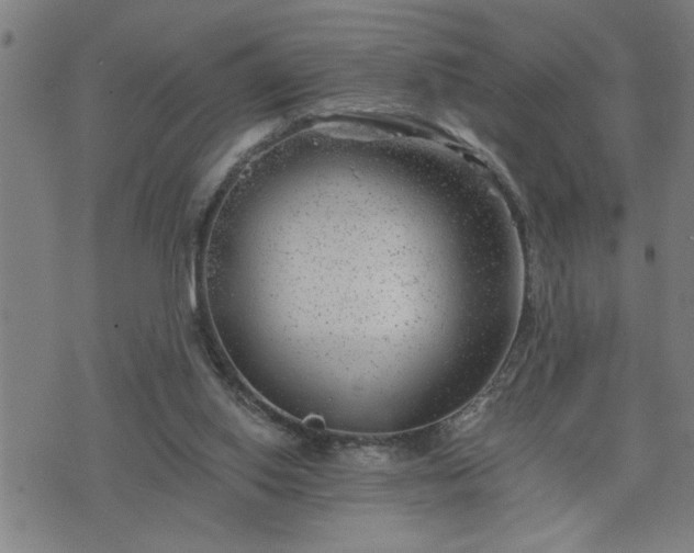 X0000075840062200609221715