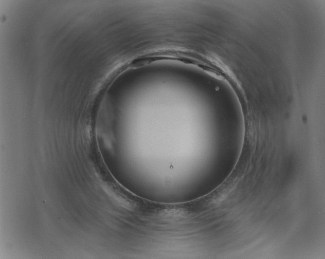 X0000075840063200609221715