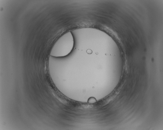 X0000075840065200609221715