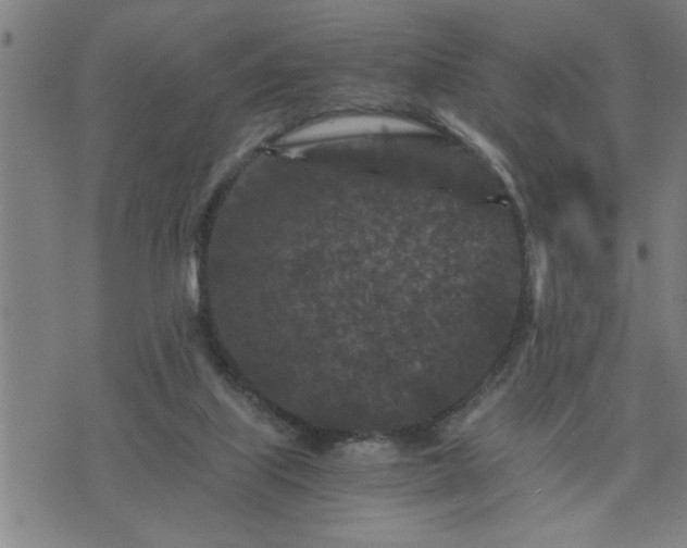 X0000075840067200609221715