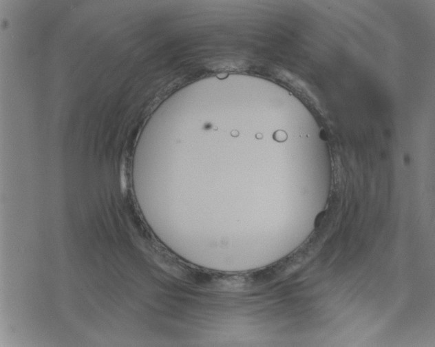 X0000075840069200609221715