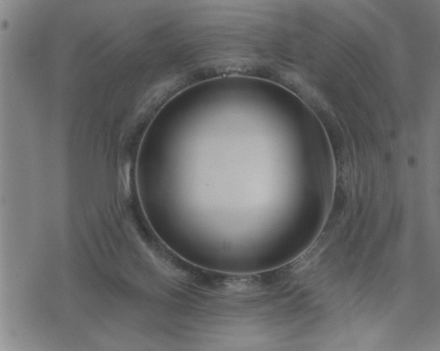 X0000075840070200609221715