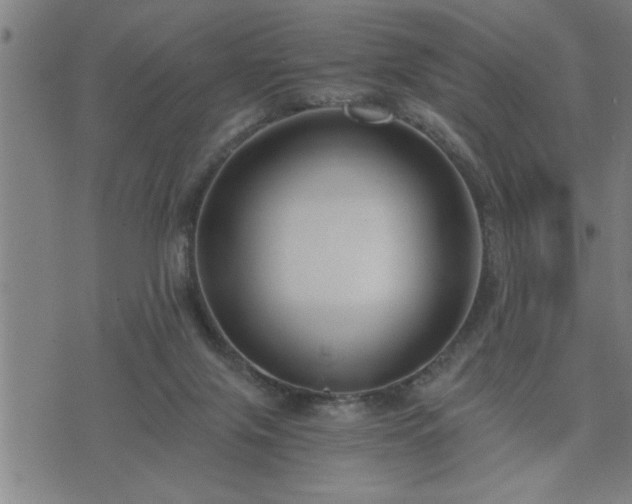 X0000075840071200609221715