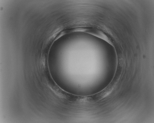 X0000075840072200609221715