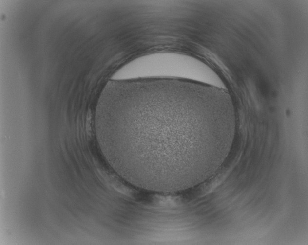 X0000075840073200609221715