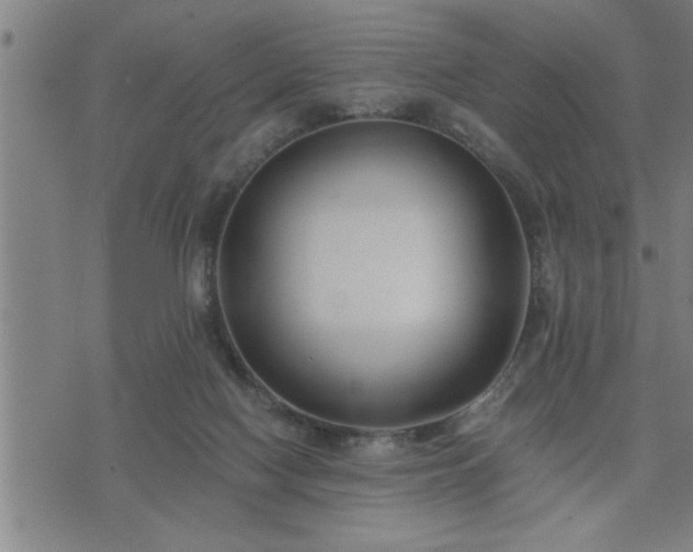 X0000075840074200609221715