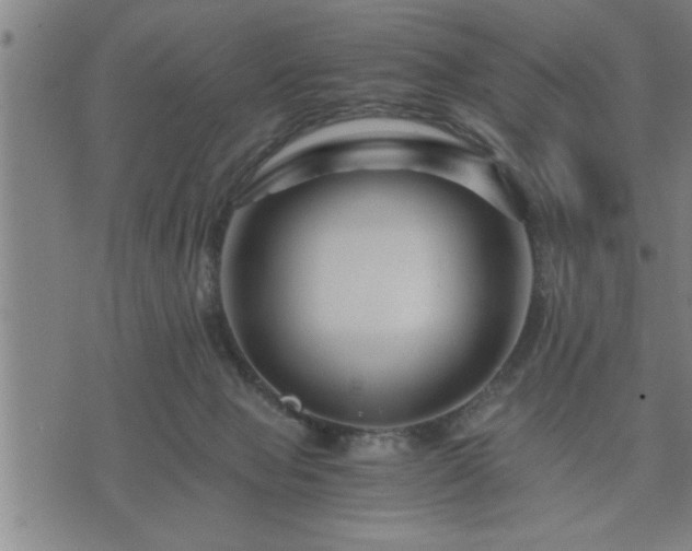 X0000075840077200609221716