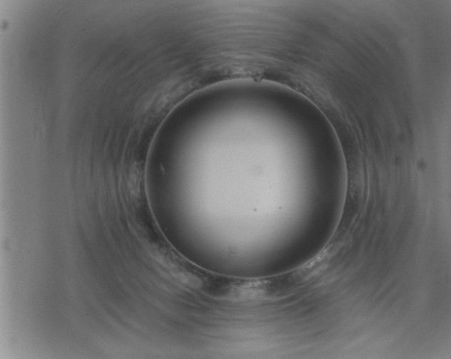 X0000075840078200609221716