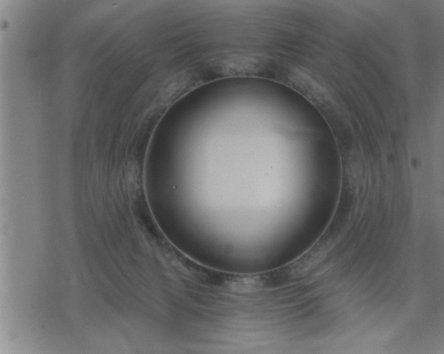 X0000075840079200609221716