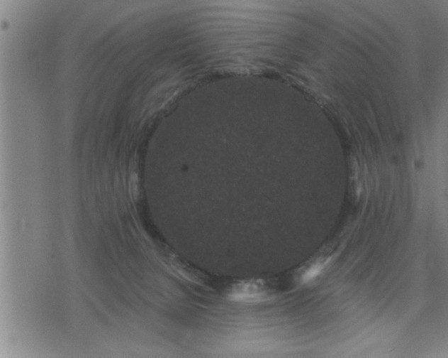 X0000075840080200609221716