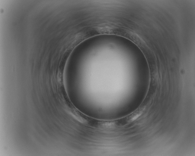 X0000075840081200609221716