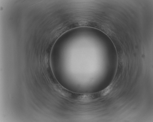 X0000075840082200609221716