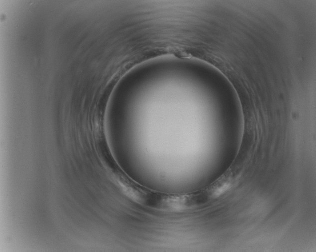 X0000075840084200609221716