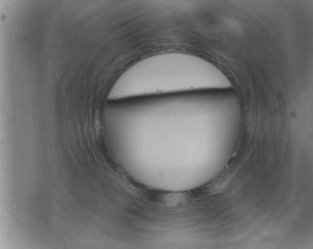 X0000075840085200609221716