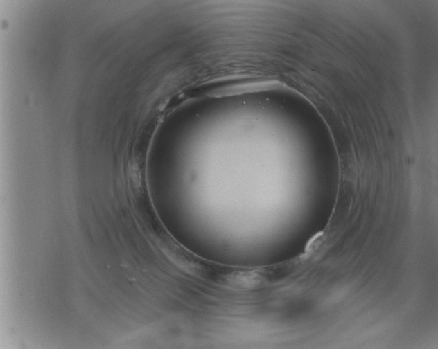 X0000075840086200609221716