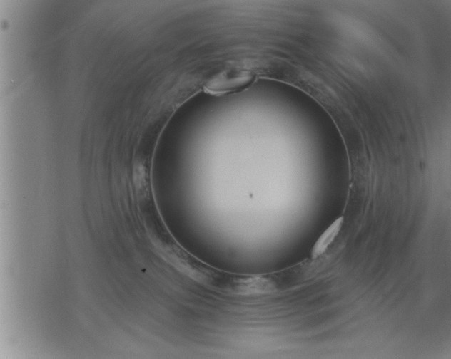 X0000075840087200609221716