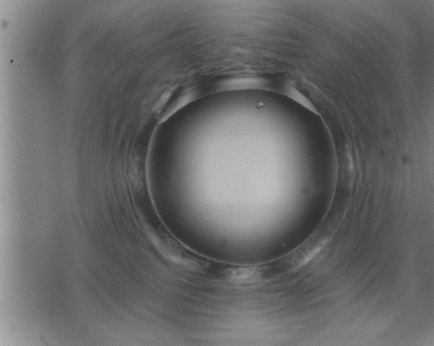 X0000075840088200609221716