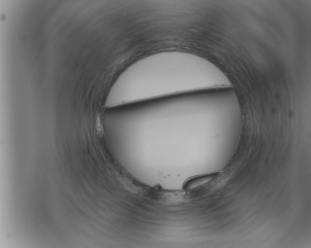 X0000075840089200609221716