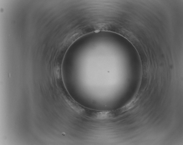 X0000075840090200609221716