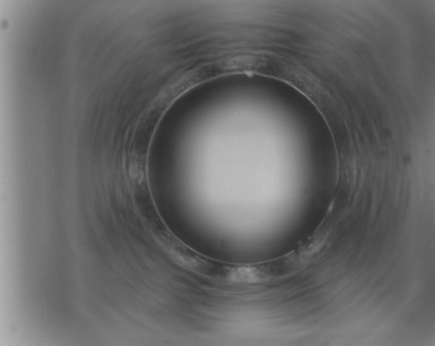 X0000075840091200609221716