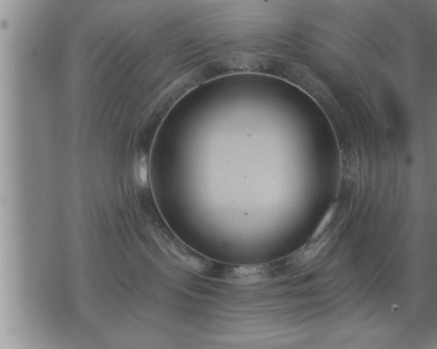 X0000075840095200609221716