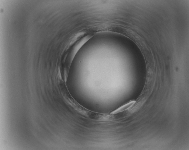 X0000075840096200609221716