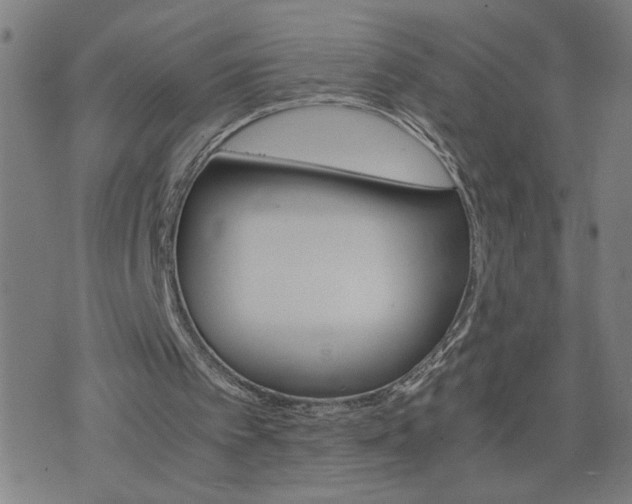 X0000075840097200609221715