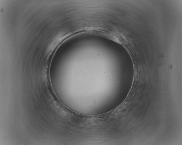 X0000075840098200609221715